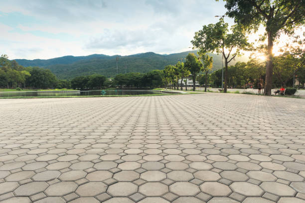 Best Interlocking Driveway Pavers  in Lindsay, TX